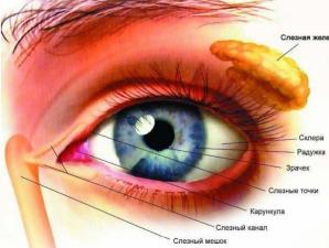 Причины припухлости в уголке глаза Воспаление во внутреннем углу глаза