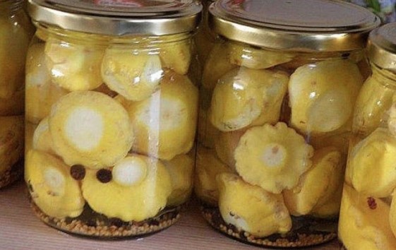 Патиссоны — заготовки на зиму