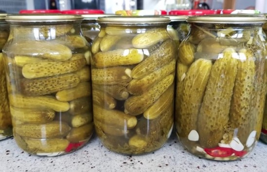 Засолка огурцов холодным способом в банках на зиму